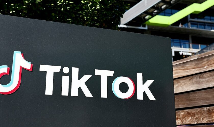 Le Congrès américain a voté en avril un texte forçant la maison mère de TikTok à vendre ce réseau dans les neuf mois suivants, au risque de l'interdire aux Etats-Unis