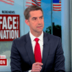 Sen. Tom Cotton says that Kamala Harris will buckle under media pressure