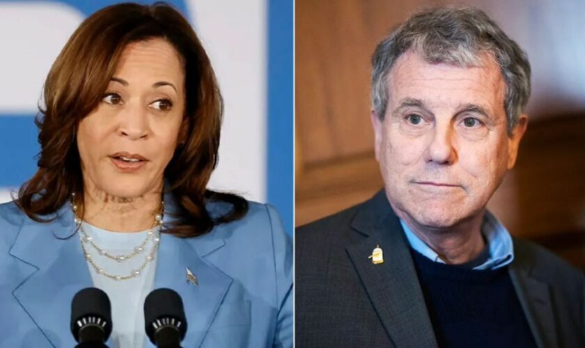 Vulnerable Dem senator ripped for voting in 'complete lockstep' with 'friend' Harris: 'Radical views'