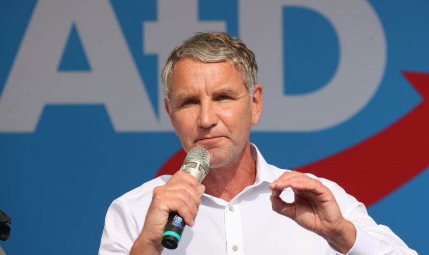 „Höcke ist doof, richtig doof“, blafft der achtjährige Junge im CDU-Wahlwerbespot