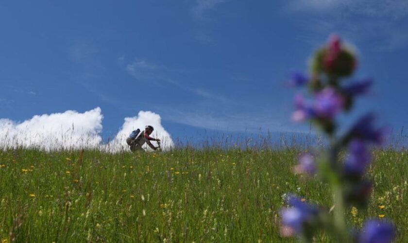 Sport in freier Natur ist sehr beliebt - doch die Natur sollte nicht darunter leiden. (Symbolbild) Foto: Karl-Josef Hildenbrand/