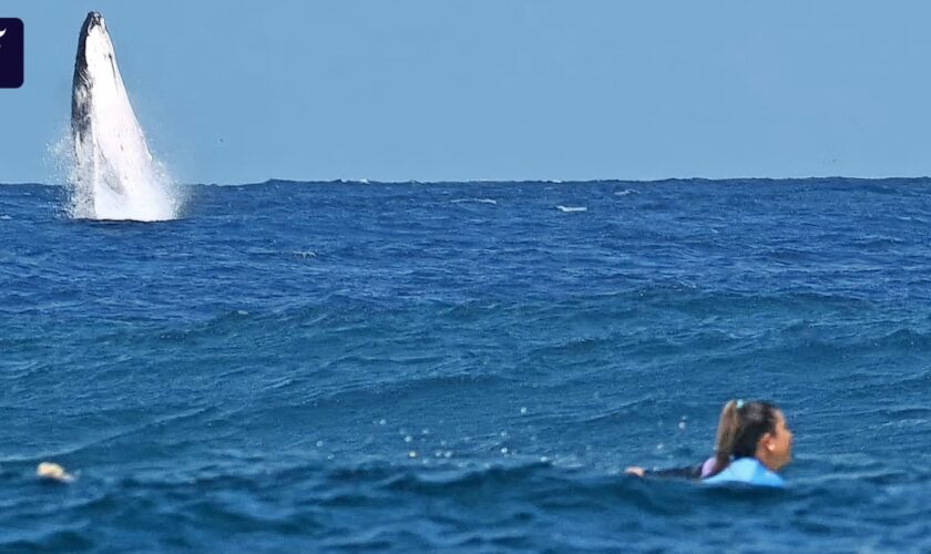 Surfen auf Tahiti ist wie eine Hochzeit im Paradies