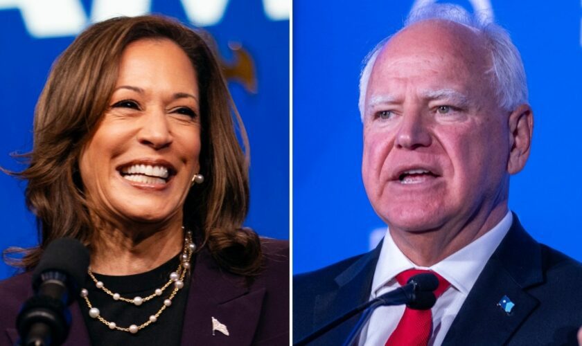 Vice President Kamala Harris names Minnesota Gov. Tim Walz as her running mate: AP