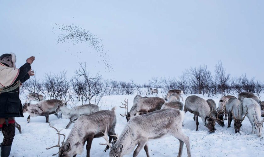 En Norvège, la colère rentrée d’une Sami longtemps considérée comme “inférieure”