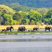 The 'Big Five' and elephants who adore snorkelling: Inside the Murchison Falls game park in East Africa where safaris are 'cheaper' but still teeming with life