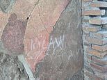 British tourist scrawls his and his two daughters' initials on wall of Pompeii's World Heritage Site House of the Vestal Virgins fresco - and is ordered to pay for restoration work