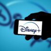 Disney posts profit on streaming for first time but warns of downturn in theme park visits