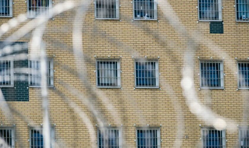 In der JVA Hannover leben künftig Bienen. (Symbolbild) Foto: Peter Steffen/dpa