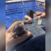 Oklahoma college students say they were drugged at Cancun resort pool bar in vacation nightmare