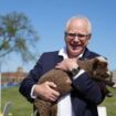 Présidentielle américaine : Tim Walz, un « papa fun du Midwest » qui rassure les démocrates (et au delà ?)