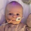 Rare heart condition means baby's only chance of survival is a transplant