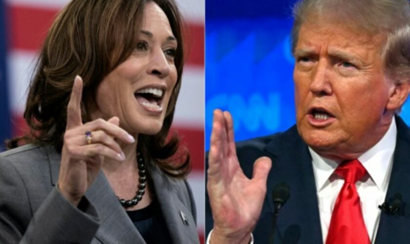 Kamala Harris und Donald Trump (Fotomontage)