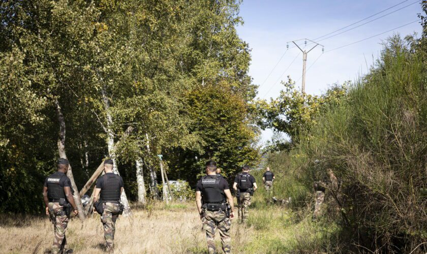 Disparition de Lina : les recherches dans la forêt s'achèvent, quelles avancées pour l'enquête ?