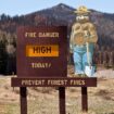 Smokey Bear turns 80, is still spreading fire safety messages today