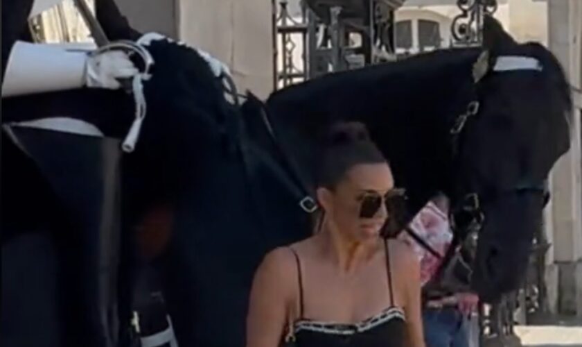 Vanderpump Rules star becomes latest to be bitten by King’s Guard horse