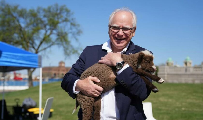 Présidentielle américaine : Tim Walz, un « papa fun du Midwest » qui rassure les démocrates (et au-delà ?)