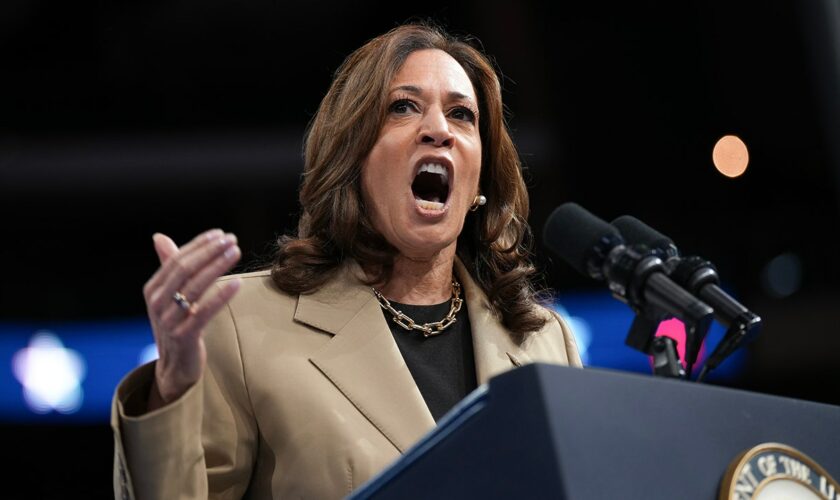 Harris addresses anti-Israel protesters at Arizona rally as crowd tries to drown them out with 'USA!' chants