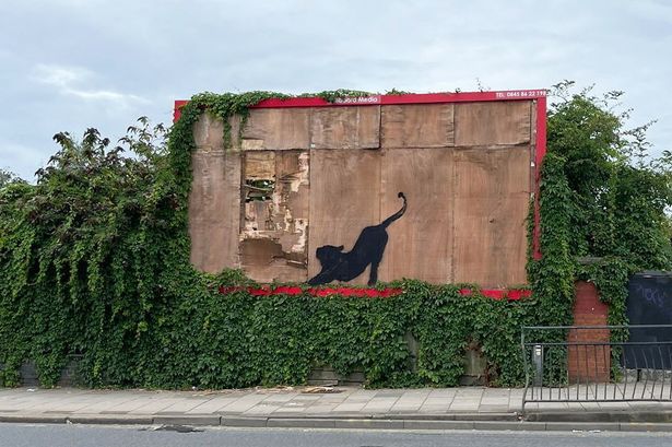 BREAKING: Banksy strikes again as new animal street art appears for sixth day running