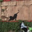 Mit seiner Bilder-Reihe will Banksy wohl die Menschen aufmuntern. Foto: -/Banksy/PA Wire/dpa