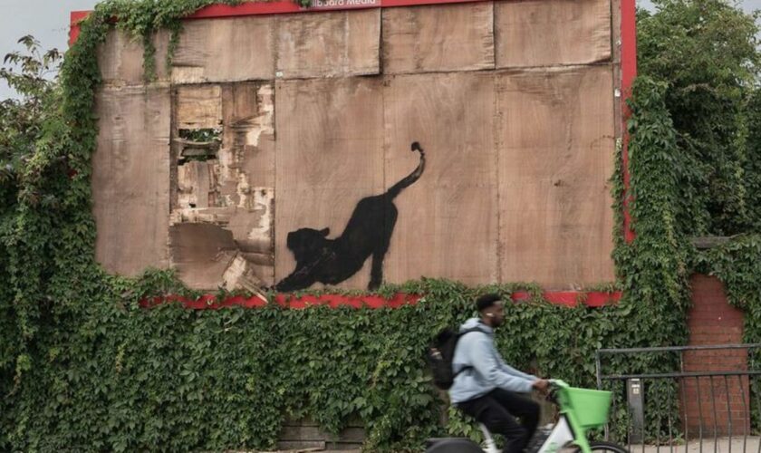 Mit seiner Bilder-Reihe will Banksy wohl die Menschen aufmuntern. Foto: -/Banksy/PA Wire/dpa