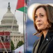 Harris voters defend Democratic presidential nominee on Israel-Hamas conflict: ‘She’s married to a Jewish guy’