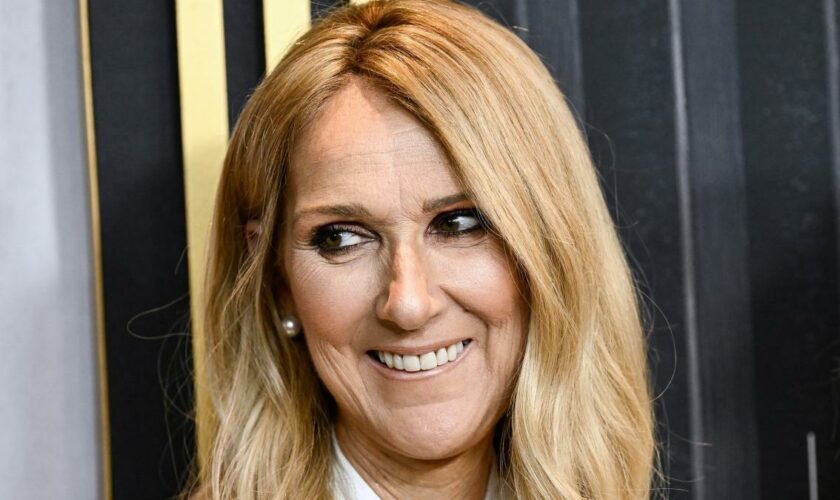 Céline Dion will ihre Musik nicht von Trump nutzen lassen