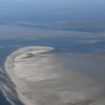 Die Klimaerwärmung verändert den Lebensraum am Wattenmeer. (Archivbild) Foto: Carsten Rehder/dpa