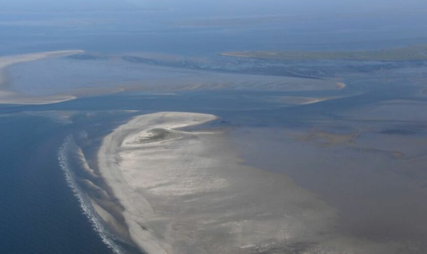 Die Klimaerwärmung verändert den Lebensraum am Wattenmeer. (Archivbild) Foto: Carsten Rehder/dpa