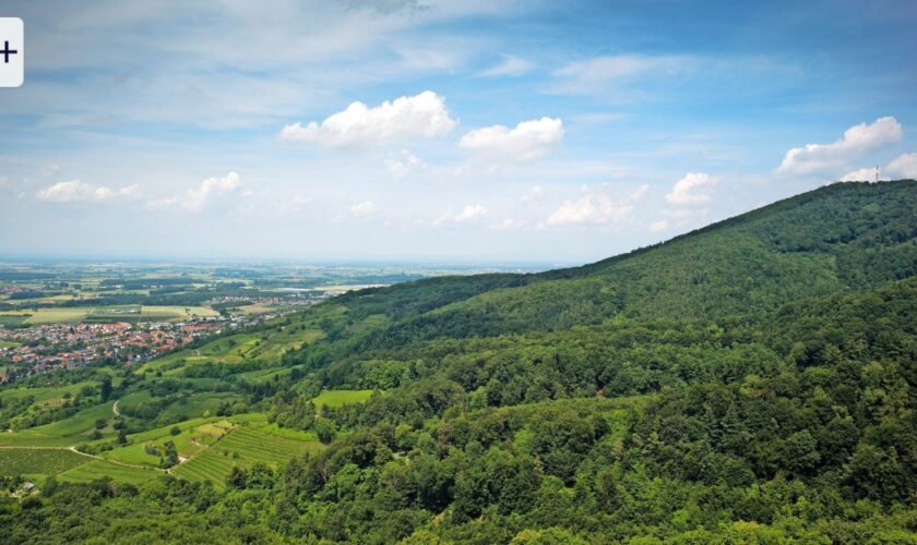 Odenwald-Gipfel Melibokus: Der hohe Herr der Bergstraße