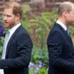 Prince William, Prince Harry's royal cousins hold key to rescue monarchy from warring brothers: experts