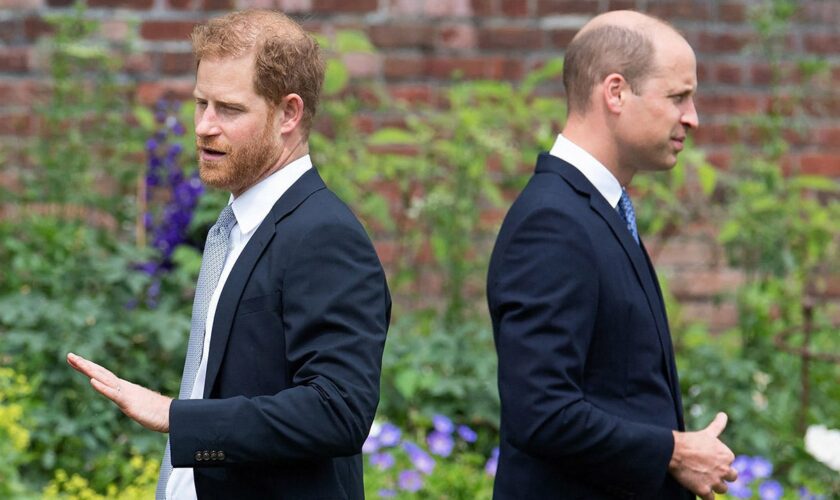 Prince William, Prince Harry's royal cousins hold key to rescue monarchy from warring brothers: experts