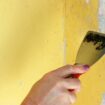 Avoid the need to strip wallpaper with expert's quick and easy alternative