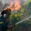 Grèce : les incendies se rapprochent d’Athènes, de nouvelles localités évacuées