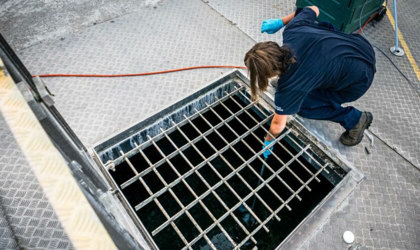 „Die Überwachung des Abwassers hat meines Erachtens ungeheures Potenzial“