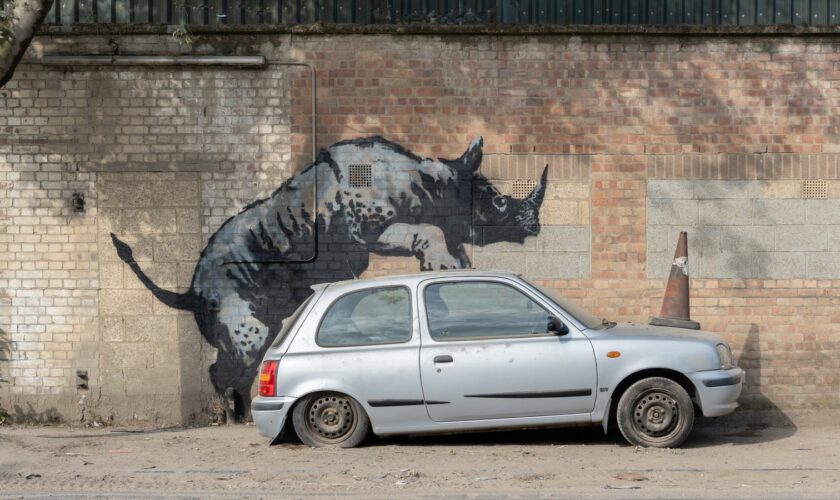 Banksy's eighth animal image is a rhino, painted in Charlton, southeast London. PA