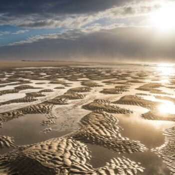 „In nicht dagewesener Geschwindigkeit“ – Das Wattenmeer verändert sich in hohem Tempo