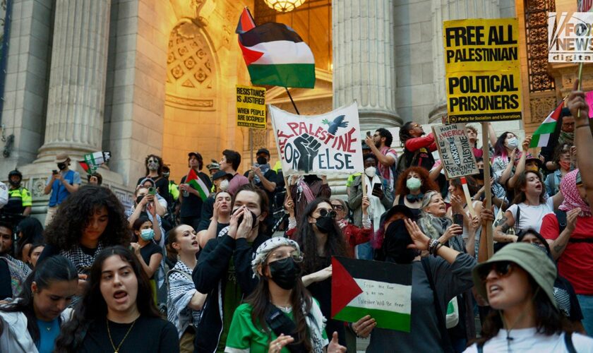 Anti-Israel agitators plan demonstrations for Democratic National Convention: 'Equivalent' to 1968