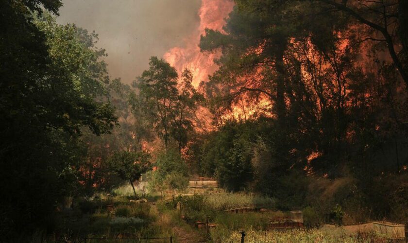 Incendie en Grèce : la France envoie 180 sapeurs-pompiers et 55 camions en renfort