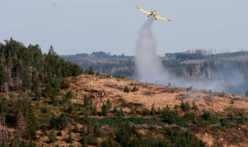 Auch ein Löschflugzeug hilft dabei, das Feuer bei Ilsenburg unter Kontrolle zu bringen. Foto: Matthias Bein/dpa