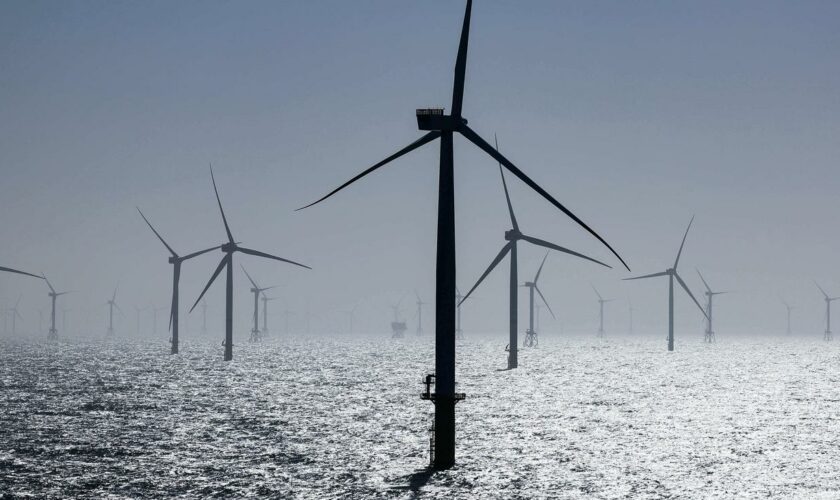 Windenergie: RWE darf zwei Windparks vor der Insel Borkum bauen