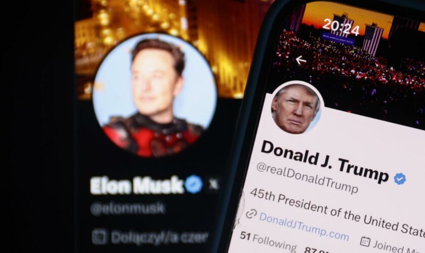 Musk-Interview mit Trump – „Das war ein Liebesfest. Irgendwie peinlich“