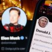 Musk-Interview mit Trump – „Das war ein Liebesfest. Irgendwie peinlich“