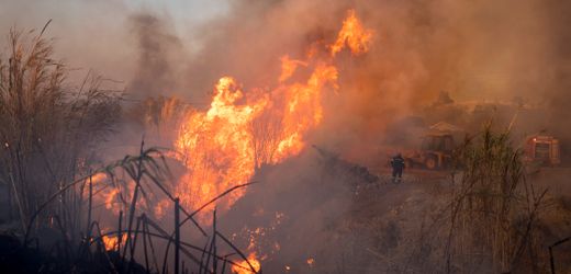 Griechenland: Frau stirbt bei Waldbrand nahe Athen