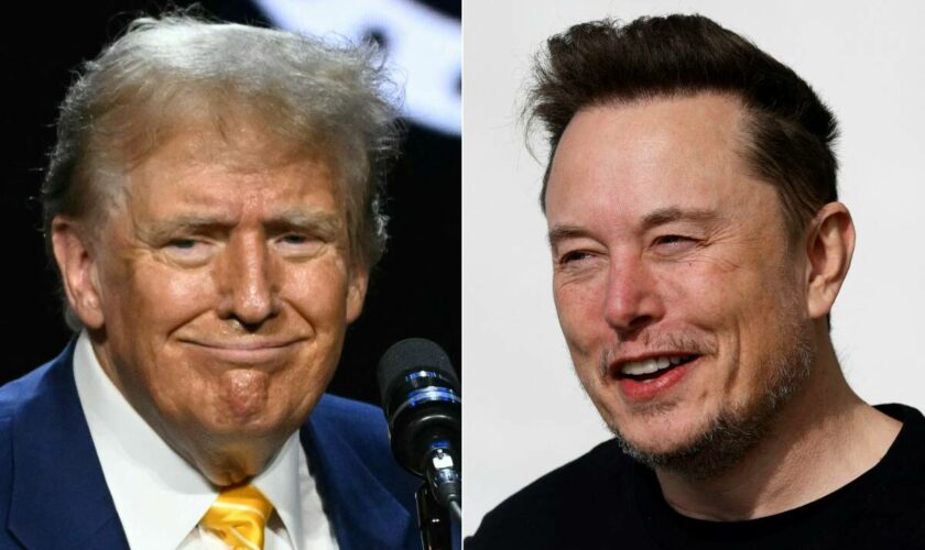 Interview de Trump sur X : l’ancien président et Musk fraternisent lors d’un échange marqué par une « cyberattaque »