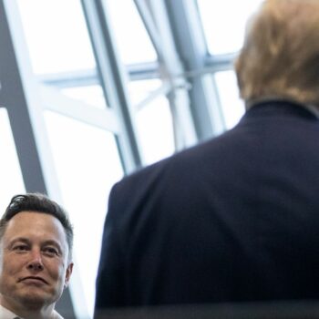 Elon Musk talks to Donald Trump back in May 2020. File pic: AP