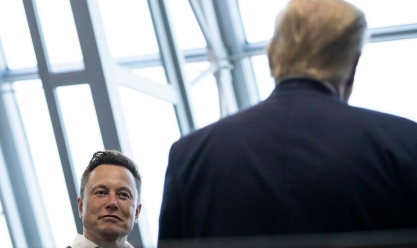 Elon Musk talks to Donald Trump back in May 2020. File pic: AP