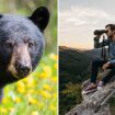 As black bear encounters increase in America, avoid serious danger by being 'bear aware'