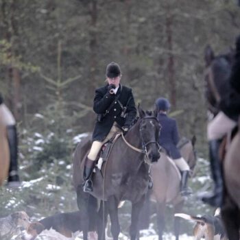 Les chasseurs britanniques se rêvent en “minorité protégée”