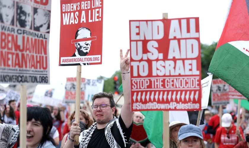 Anti-Israel protesters handed legal setback in effort to expand DNC rally