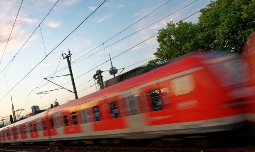 Ein mutmaßlich wegen Unwetters umgestürzter Baum hat die Bahnfahrt von 80 Zugpassagieren bei Hennef ungeplant beendet (Illustrat